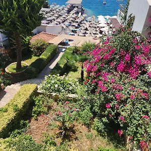 https://amelies-apartments-beach-saranda.albaniahotels.org